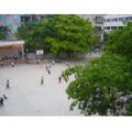 惠州市下埔小学