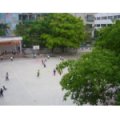 惠州市下埔小学