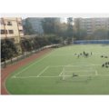 四川大学附属实验小学（川大附小）