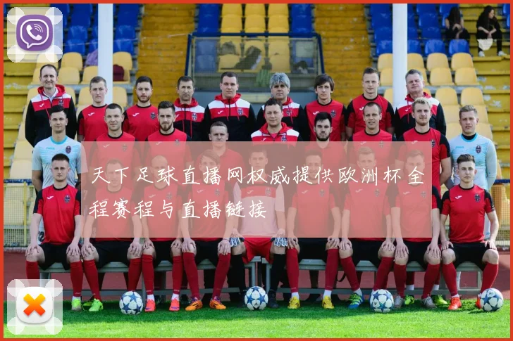 天下足球直播网权威提供欧洲杯全程赛程与直播链接