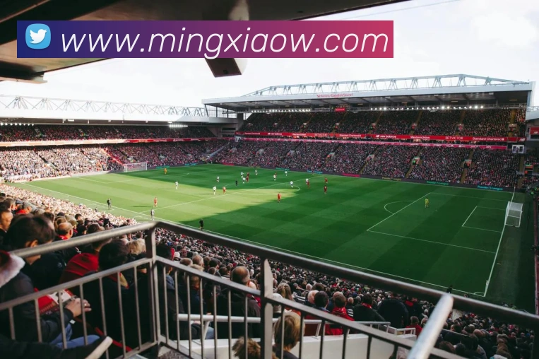 多媒体互动体验