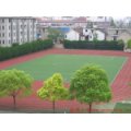 盐城市盐城小学