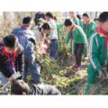 荣成十二中学区寻山完小