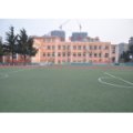 青岛市宜阳路小学