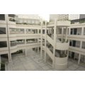 宁波市栎木小学