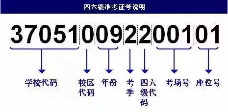 英语四六级准考证号忘了怎么查成绩？